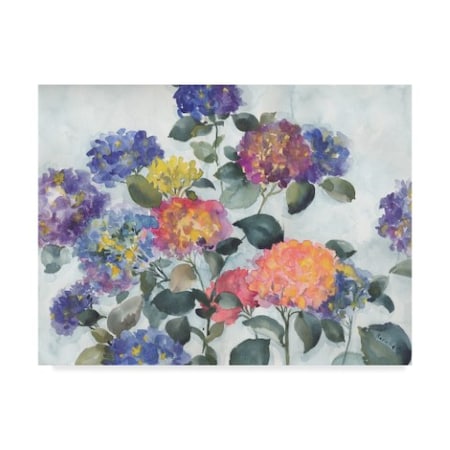 Marietta Cohen Art And Design 'Hortensia Delight' Canvas Art,14x19